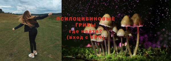 круглые Нефтекумск