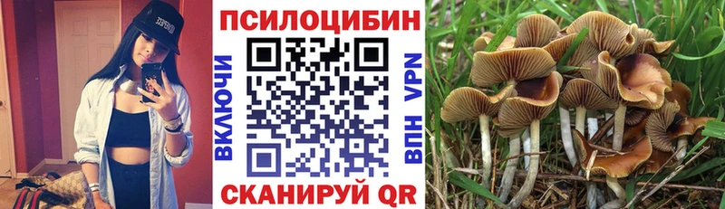 Псилоцибиновые грибы GOLDEN TEACHER  Харабали 